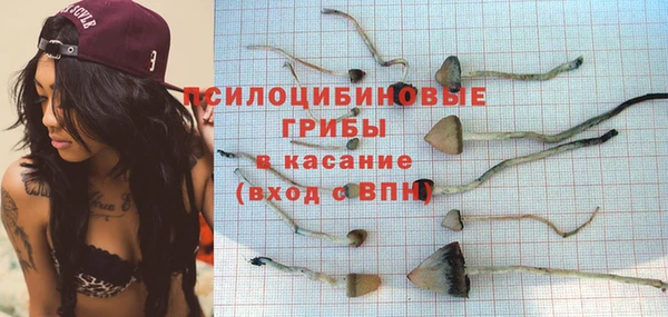 ПСИЛОЦИБИНОВЫЕ ГРИБЫ Баксан