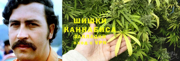 ПСИЛОЦИБИНОВЫЕ ГРИБЫ Баксан