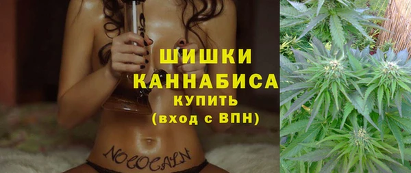 ПСИЛОЦИБИНОВЫЕ ГРИБЫ Баксан